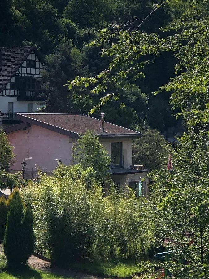 Ferienhaus Waldbaden Im Nationalpark Eifel- Am Bach Schleiden Extérieur photo