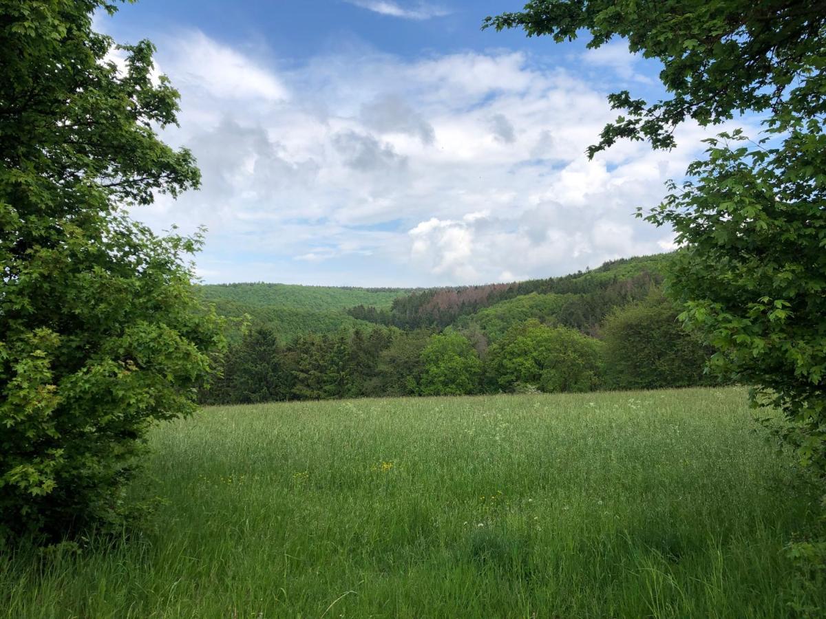 Ferienhaus Waldbaden Im Nationalpark Eifel- Am Bach Schleiden Extérieur photo
